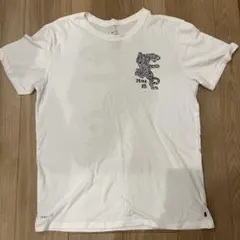 Nike SB などナイキの古着Tシャツ L まとめ売り