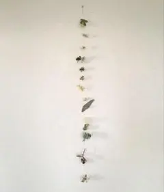 ドライフラワー ストリングガーランド