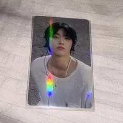 テサン トレカ who