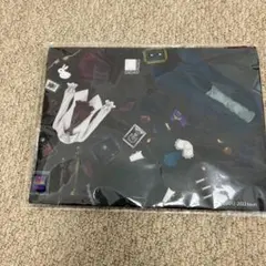 フラットポーチ