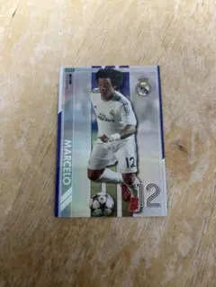 Item thumbnail for item 86858d52-cd45-41a8-b72c-17a9b53c34d9