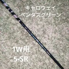 5-SR 1W용 캘러웨이 슬리브가 있는 벤투스 그린