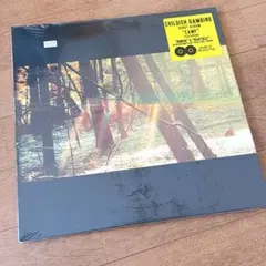 [新品未開封]Childish Gambino CAMP LP レコード