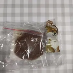 いつもわんちゃんと一緒　おでかけ毛入れキーホルダー　柴犬