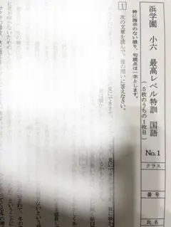 2026年最新】浜学園 小6 最高レベル特訓 テキストの人気アイテム