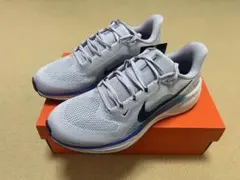 ナイキ ペガサス 27.5