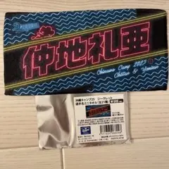 Item thumbnail for item 8d4e05e0-5ad9-41f4-8f19-048fdae379ce