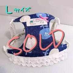 Item thumbnail for item 252c9171-0647-4711-87d5-04baa819e6ce