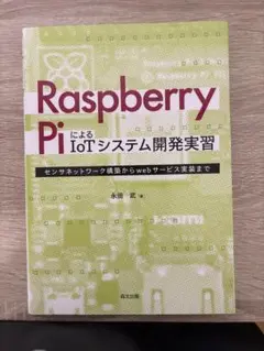 Raspberry PiによるIoTシステム開発実習