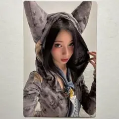 パリタ タレントカード