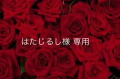 はたじるし様専用