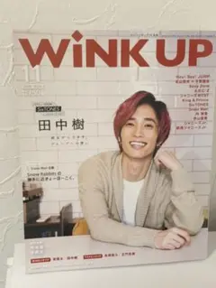 WiNK UP 11月号