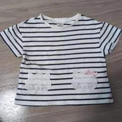 ボーダーTシャツ　ネコちゃん　100