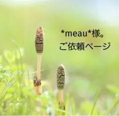 【ご依頼ページ】*meau*様 リクエスト 6点 おまとめ商品
