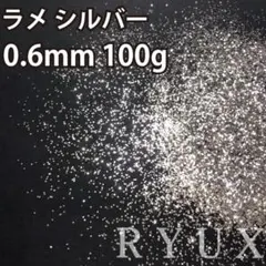 2026年最新】ラメフレーク 塗装の人気アイテム - メルカリ