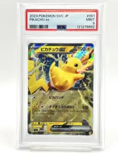 2025年最新】ピカチュウex psa10の人気アイテム - メルカリ