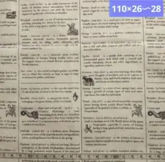 USA RJR英字ホワイト白地ブラック黒クラシックモノトーンアニマル2