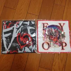 B’z LIVE-GYM 2025 -FYOP-　ファイバータオル2枚セット