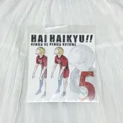 ハイキュー 孤爪研磨 原画展 ゲンガタイカン 特典 ポストカード