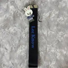 2026年最新】straykids ペンライトストラップ リノの人気アイテム