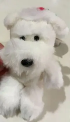 【タイムセール】シュナとボブのクリスマス　オフホワ