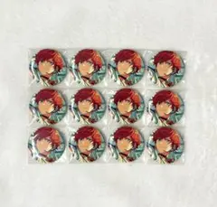 天城一彩 缶バッジ 12個