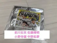 阪神タイガース シークレットアクリルキーホルダー 優勝記念 前川 佐藤 小野寺