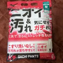 野球ミズノガチパンツ新品