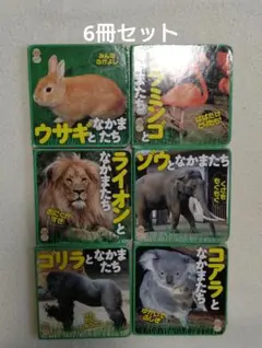 Item thumbnail for item 377a88e6-5920-4c3b-ba19-dfea9de76603