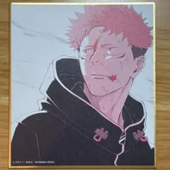 アニメーション 呪術廻戦展 虎杖悠仁　ミニ色紙　渋谷事変