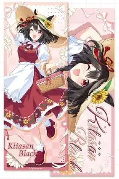 ウマ娘　KAKACODE　キタサンブラック　セット ウマ娘 KAKACODE 特典 イラストカード セット キタサンブラック - メルカリ