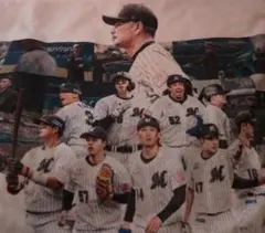 □千葉ロッテマリーンズ　 応援タオル 2024