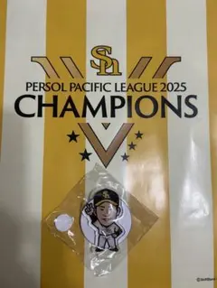 ホークス 藤井リーグ優勝記念 アクリルスタンド　若鷹ガチャ