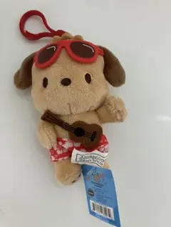 【マユさま専用】日焼けポチャッコ　ハワイ限定