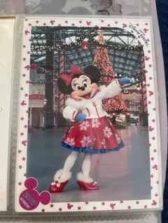 ディズニー スペシャルフォト＊クリスマス ホワイトホリデー ミニー スペフォ