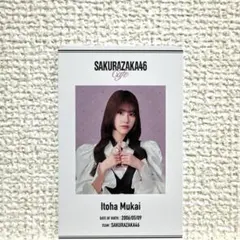 櫻坂46 櫻坂カフェ 向井純葉 フォトカード