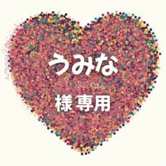 うみな様　専用ページ　5セット