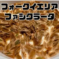 ぽぅぽぅ様 リクエスト 2点 まとめ商品