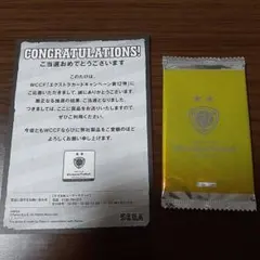 Item thumbnail for item 53e3cb58-58fe-4cb0-85be-e6db2895f117