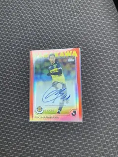 Item thumbnail for item 179809ec-1afc-44ba-b3c0-ca10b973bb8d