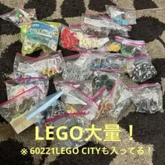 （大量に届いていい人限定）レゴブロックとミニフィギュアセット