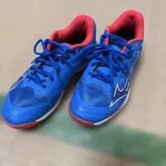 Mizuno Wave Exceed Tour 2 24.５センチ