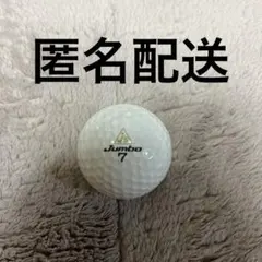 2026年最新】ジャンボ尾崎ゴルフの人気アイテム - メルカリ