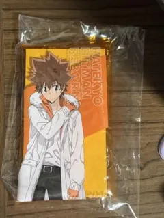 家庭教師ヒットマンREBORN! クリアマルチケース 沢田綱吉