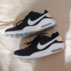 Nike Air Max ブラック スニーカー