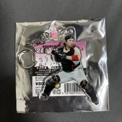 甲斐拓也 記念グッズ