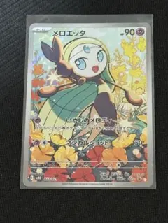 【24時間以内発送】メロエッタ AR
