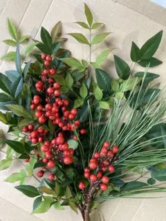 専用になります。