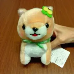 2025年最新】ハッピーまめしばの人気アイテム - メルカリ