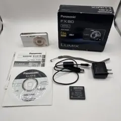 2026年最新】LUMIX DMC-FX80の人気アイテム - メルカリ